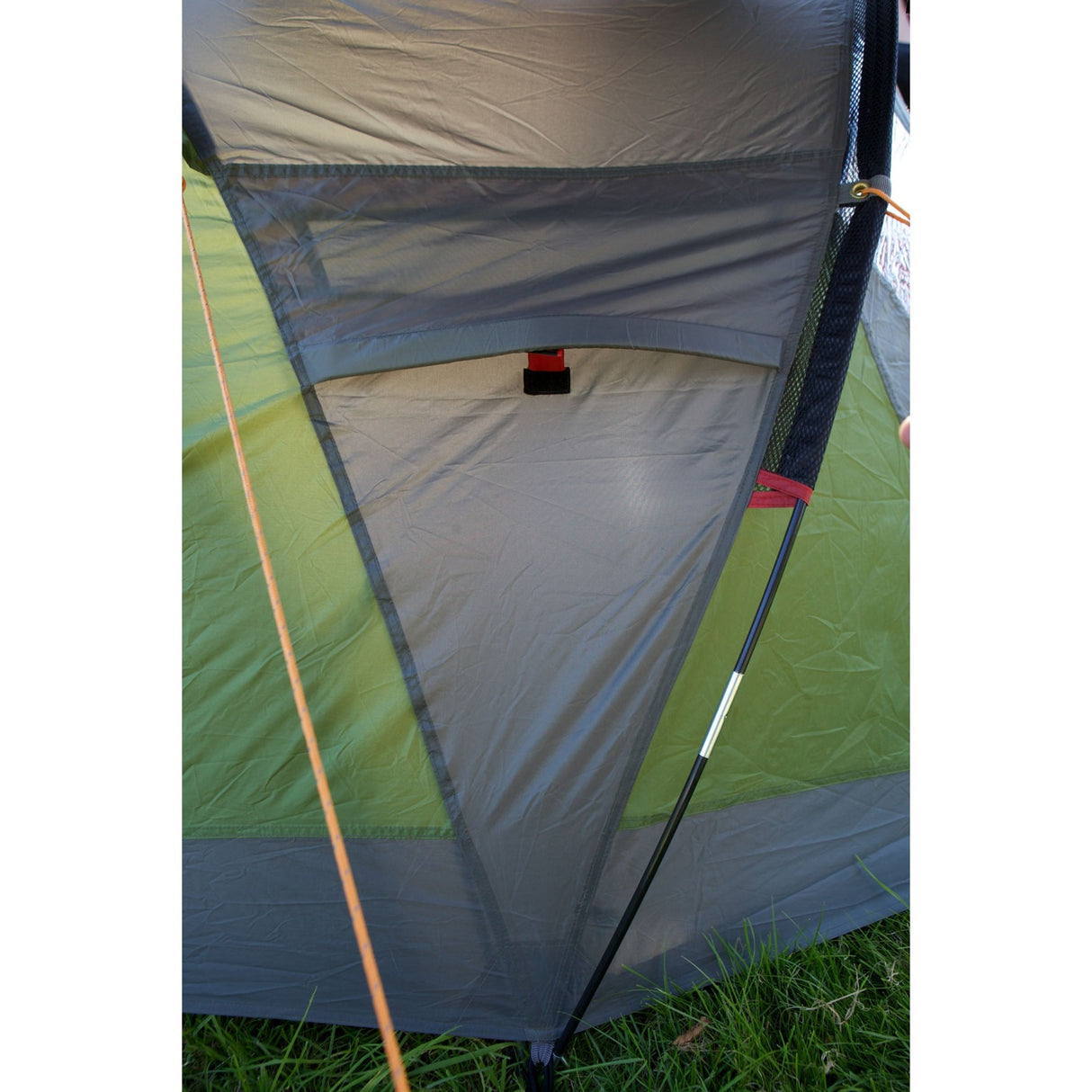 Coleman darwin 2+ telt (grøn grå)