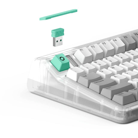 Iqunix OG80 ormehul trådløst mekanisk tastatur (grå, amerikansk layout (QWERTY), Cherry MX Brown, 80% (TKL), RGB LED'er, hot-swappable, PBT, 2,4GHz | Bluetooth 5.1 | USB-C)