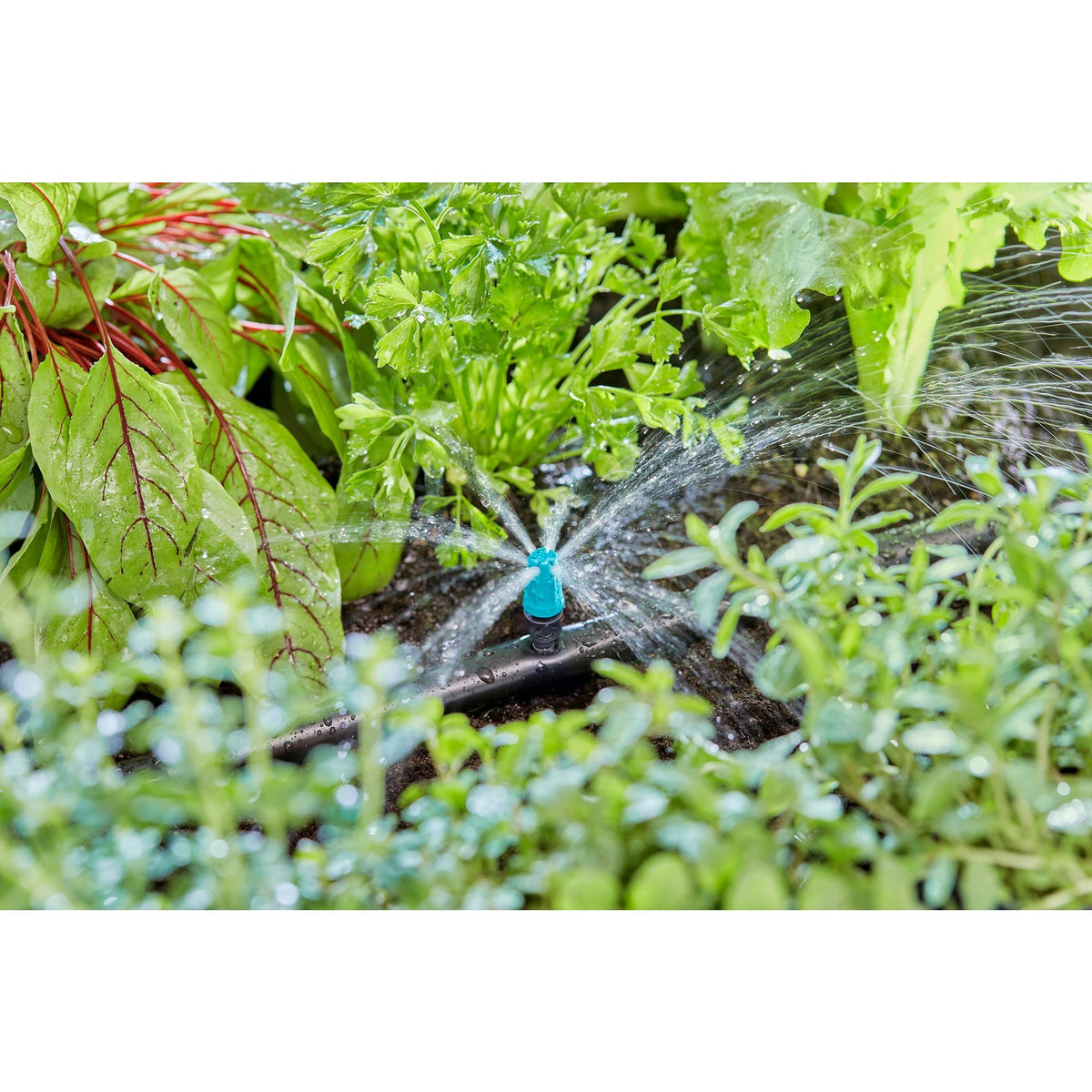 Gardena sprinkler til små områder (sort turkis, 10 stk.)