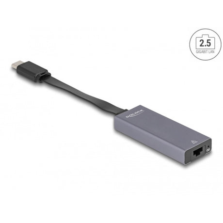 Delock USB-C > 2,5 Gigabit LAN Slank netværksadapter (grå)