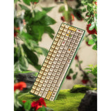 Iqunix f97 floral date rgb mekanisk gaming-tastatur (grøn, us-layout (qwerty), iqunix little prince, 96%, rgb-lysdioder, hot-swappable, pbt, 2.4ghz | bluetooth 5.1 | usb-c)