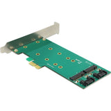 Delock pci express kort > 2 x intern m.2 nøgle b 110 mm - lav profil formfaktor adapter