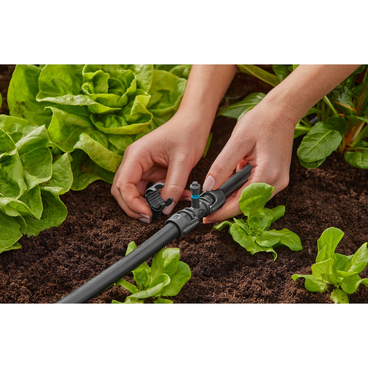 Gardena sprinkler 360° (sort turkis, 5 stk.)