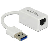 Delock superspeed USB-A (USB 3.1 Gen 1) han > Gigabit LAN 10 100 1000 Mbps kompakt adapter (hvid, 0,127 meter)