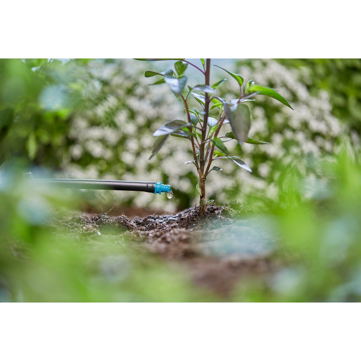 Gardena endedrypper 2 l u drypper (turkis, 25 stk.)