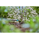 Gardena endedrypper 2 l u drypper (turkis, 25 stk.)