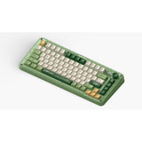 Iqunix zx75 camping trådløst mekanisk tastatur (grøn, amerikansk layout (QWERTY), Iqunix Moonstone Turbo, 75%, RGB LED'er, hot-swappable, double-shot PBT, 2,4GHz | Bluetooth 5.1 | USB-C)