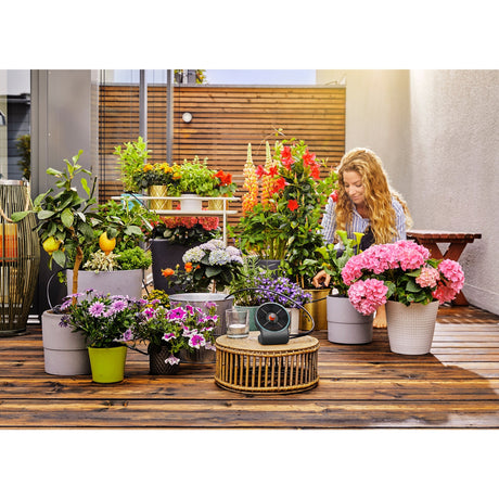 Gardena aquabloom med vandreservoir - velegnet til 20 potteplanter