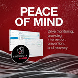 Seagate ironwolf 4 TB harddisk (ST4000VN006, SATA 600, 24 7)