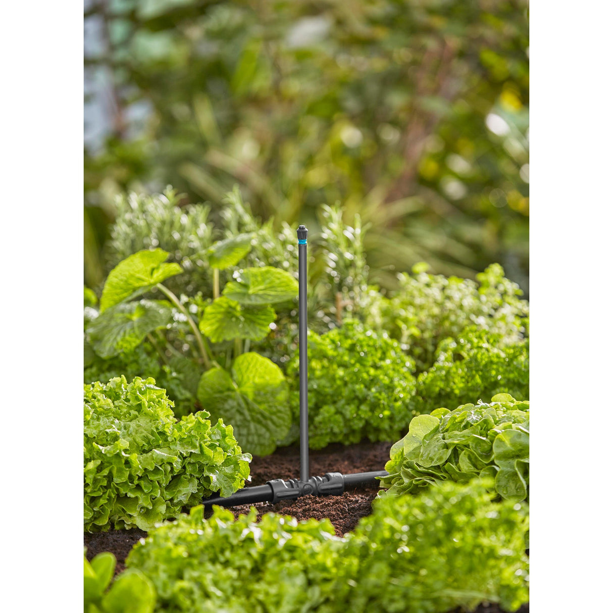 Gardena sprinkler 360° (sort turkis, 5 stk.)