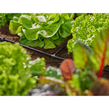Gardena T-stykke 4,6 mm (3 16 ) tilslutning (mørkegrå, 10 stk.)