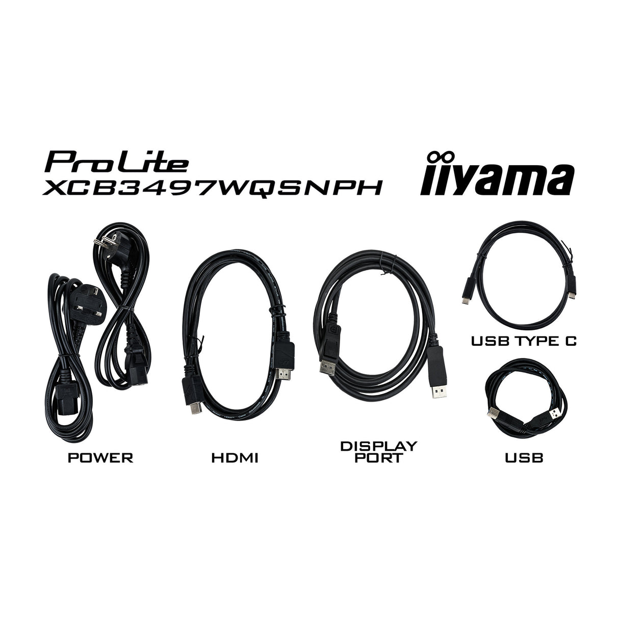 Iiyama Prolite