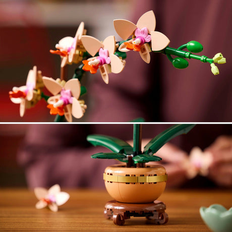 Lego botanicals miniorkidé - 10343