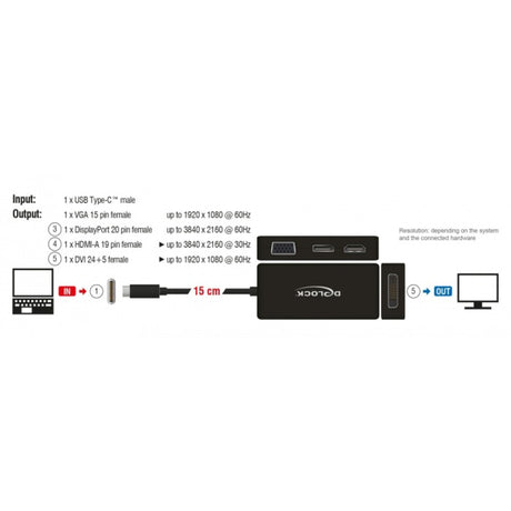 Delock USB-C > VGA HDMI DVI Display Port Adapter (sort, 0,15 meter)