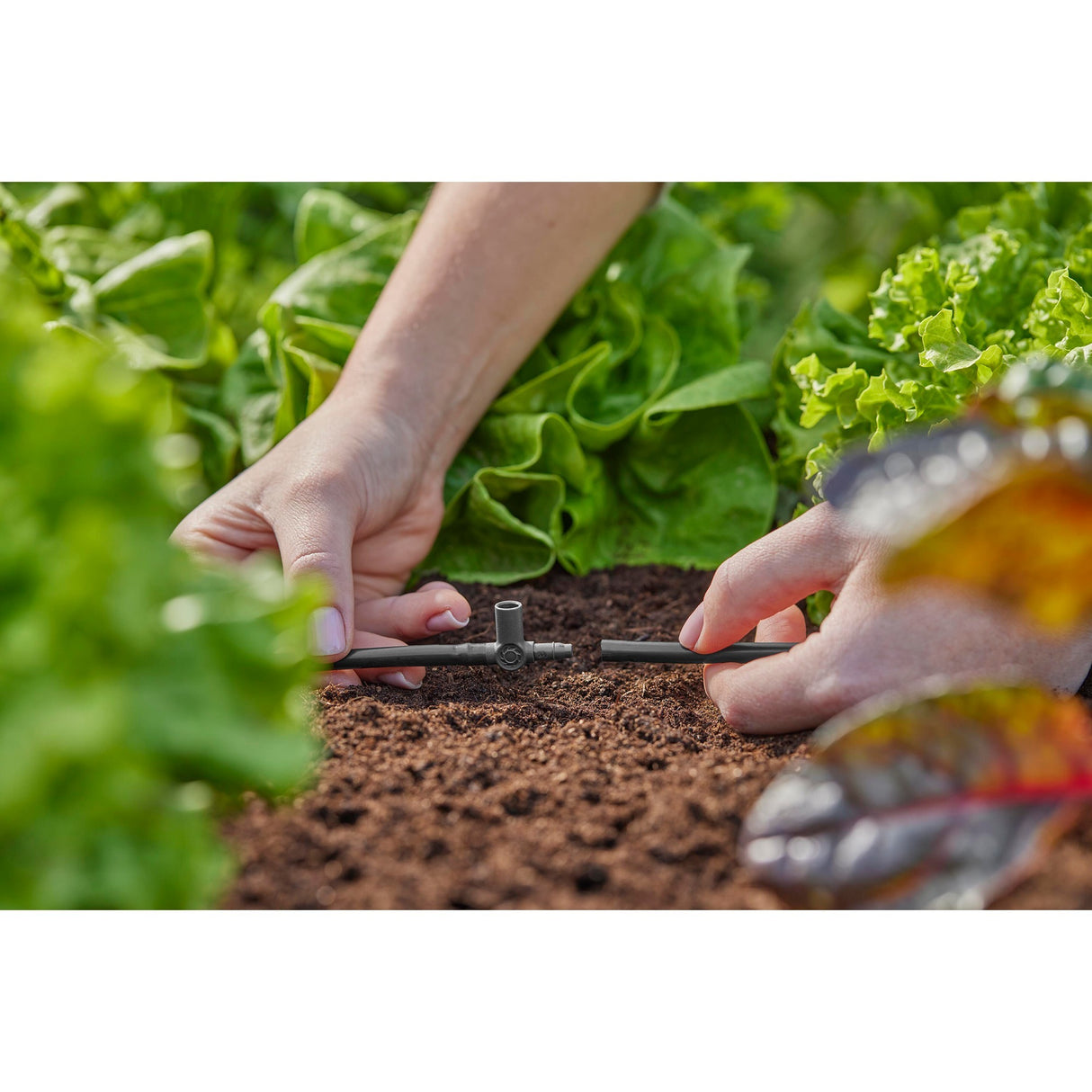 Gardena T-stykke til sprinklere endedrypper 4,6 mm (3 16 ) tilslutning (mørkegrå, 5 stk.)