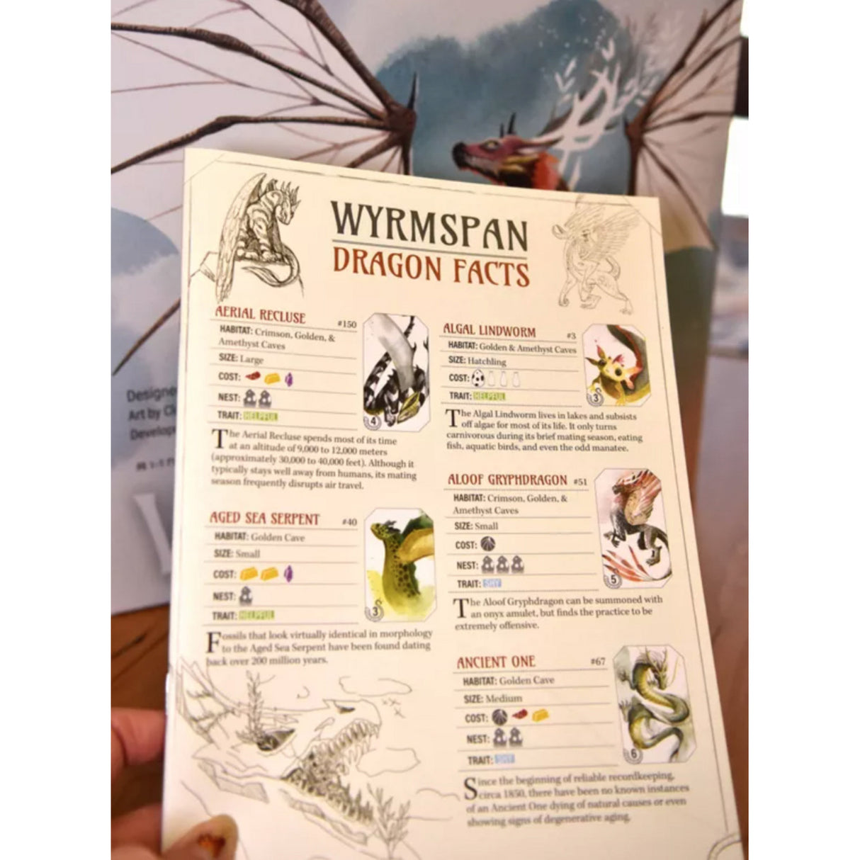 Asmodee wyrmspan - engelsk brætspil