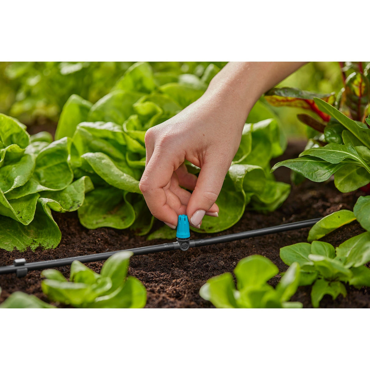 Gardena sprinkler til små områder (sort turkis)