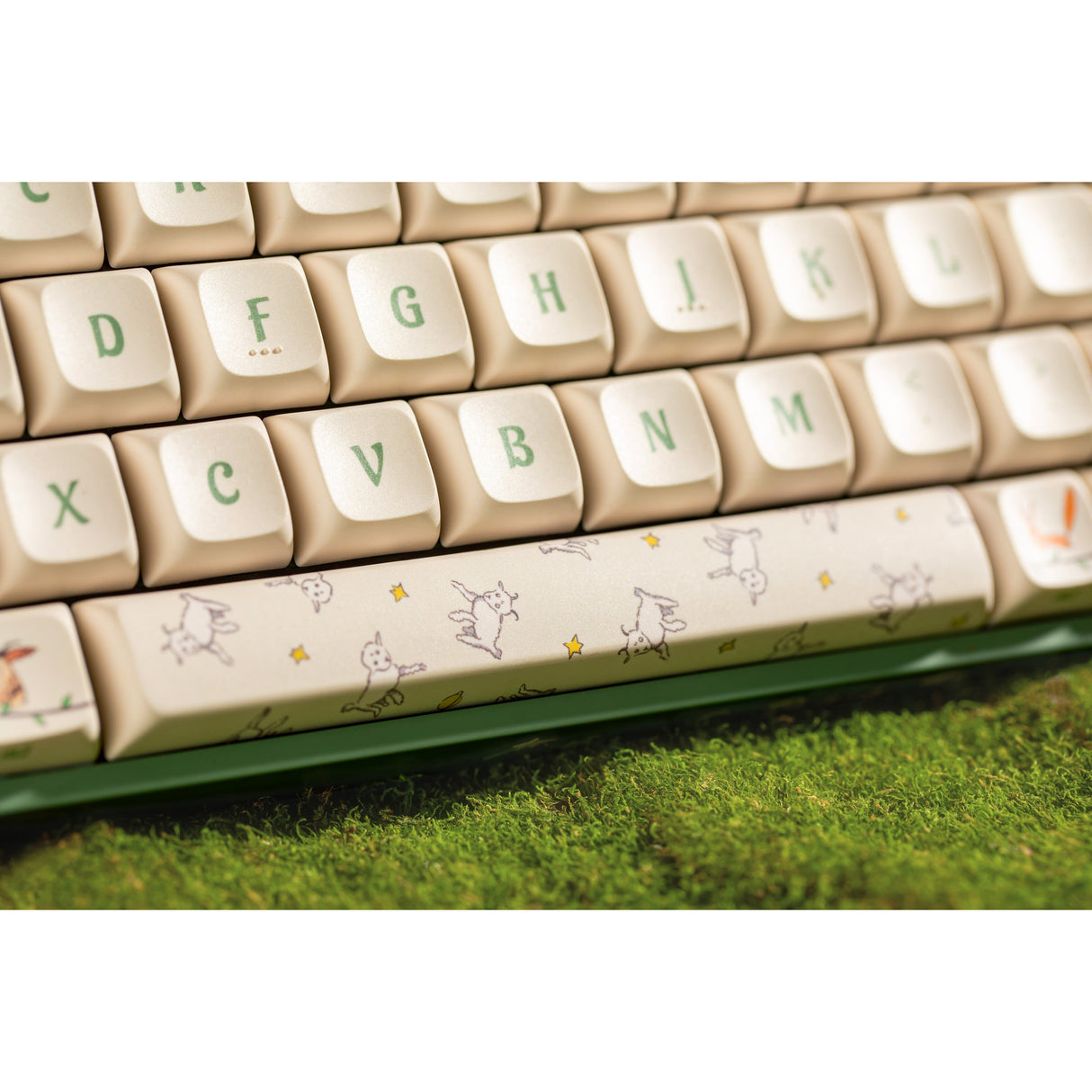 Iqunix f97 floral date rgb mekanisk gaming-tastatur (grøn, us-layout (qwerty), iqunix little prince, 96%, rgb-lysdioder, hot-swappable, pbt, 2.4ghz | bluetooth 5.1 | usb-c)