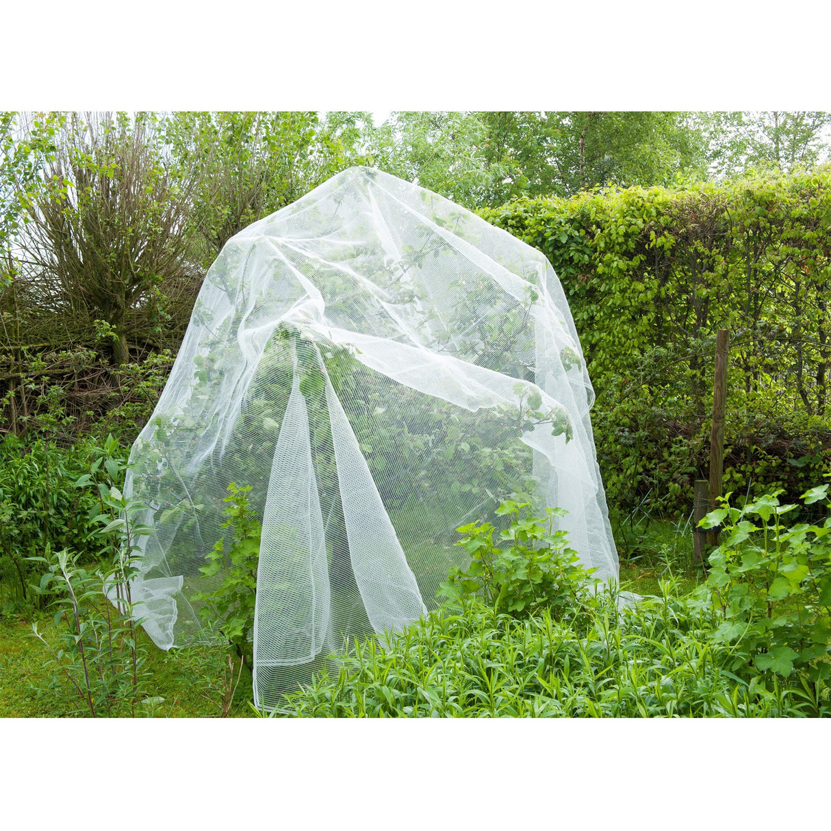 Natur insektnet, finmasket insektnet (hvidt gennemsigtigt, 5,2 x 5 m)