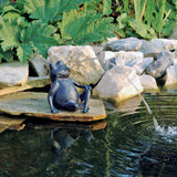 Ubbink frø sprøjte figur