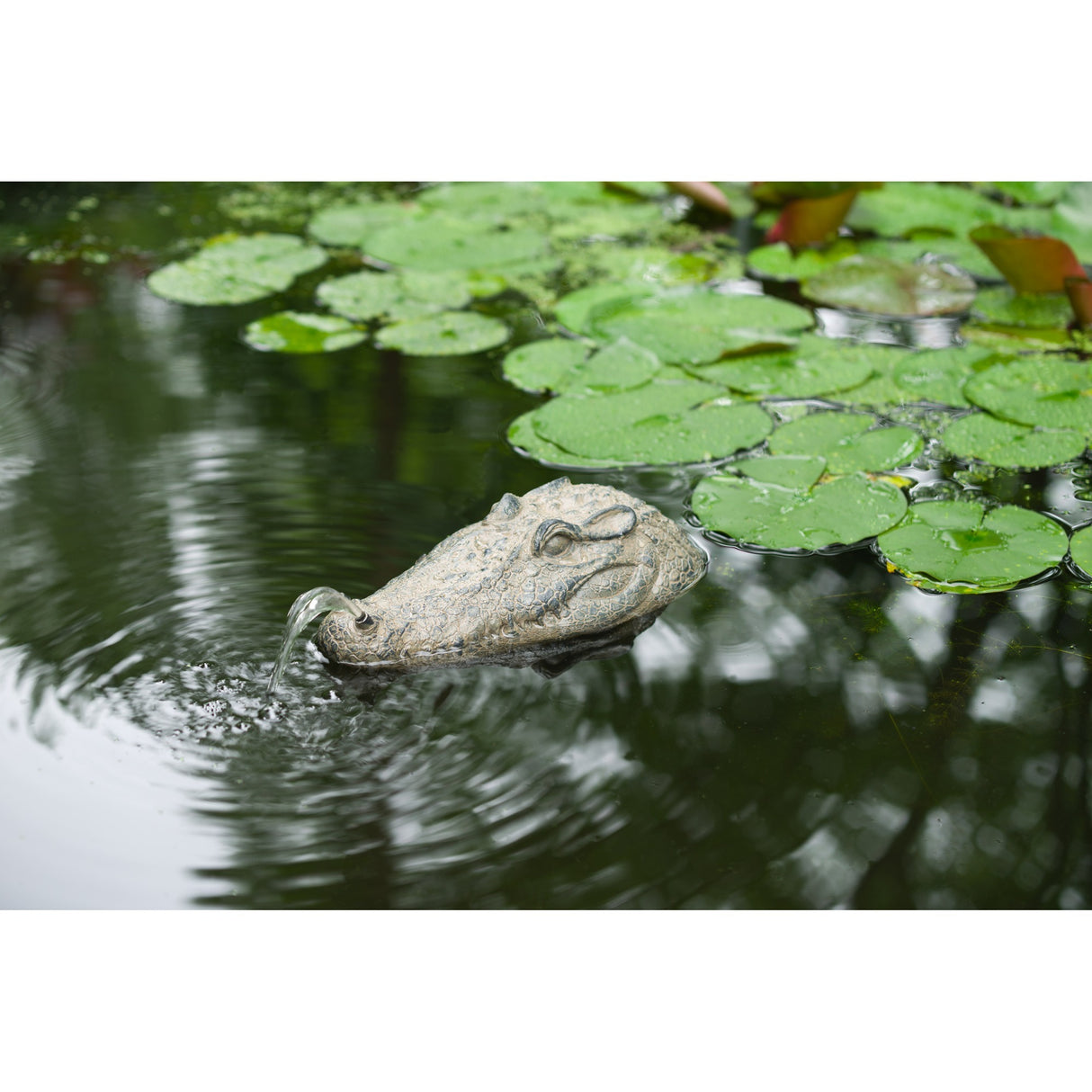 Ubbink flydende spray figur krokodille hoved vand funktion