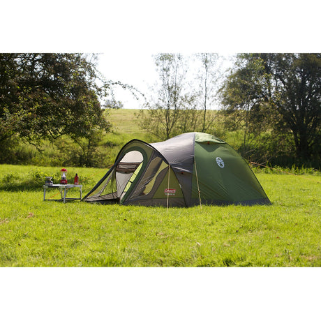 Coleman Darwin 3+ telt