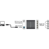 Delock USB 3.0 > 4x gigabit LAN-adapter (sort, 80 centimeter)