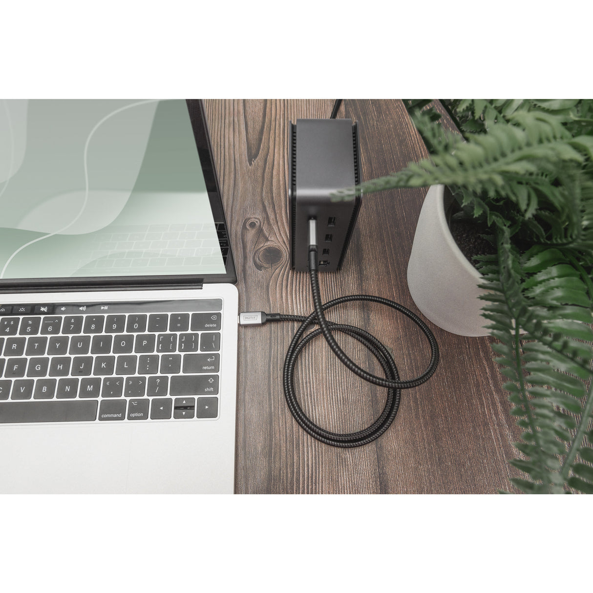 Digitus USB-C 4 gen2 USB-C tilslutningskabel (sort grå, 3 meter)