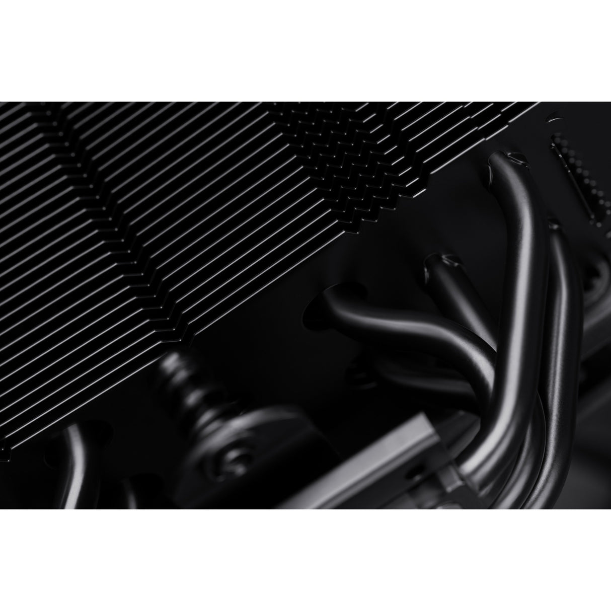 Noctua nh-u12s chromax.black CPU køler (sort)