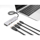 Delock USB 10 Gbps USB-C hub USB hub (grå, 2x USB-A 3.2 (10 Gbit s), 2x USB-C 3.2 (10 Gbit s))