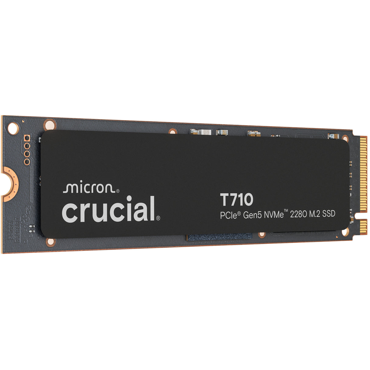 Crucial T710 1 TB SSD (PCIe 5.0 x4, NVME 2.0, M.2 2280)