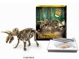 Aro udskærer dinosaurskelet triceratops 23cm