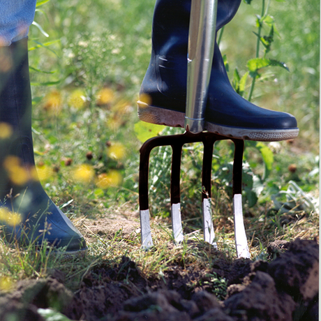 Connex spitvork voor dames t-steel - flor22480
