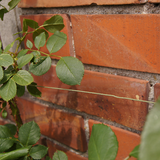 Connex bindetråd 50m gr - flor78635