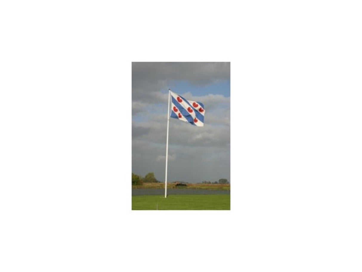 Dokkumer flag centralflag Friesland 20x30 cm