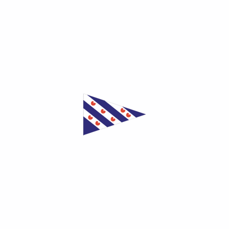 Dokkumer flag central point flag Friesland 40x60 cm