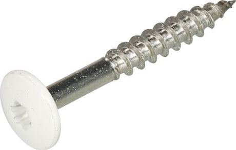 Hoenderdaal fasteners hoenderdaal hpl schroef rvs-a2 torx tx20 zuiver wit ral9010 4.8x32 | 100 stuks - 0346.30.37324