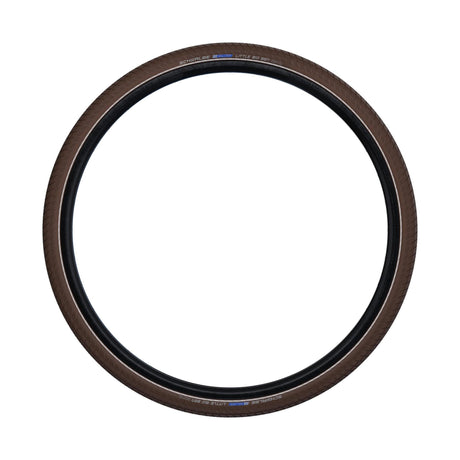 Schwalbe Dæk 28-1,50 (40-622) Big Ben Active Bruin R