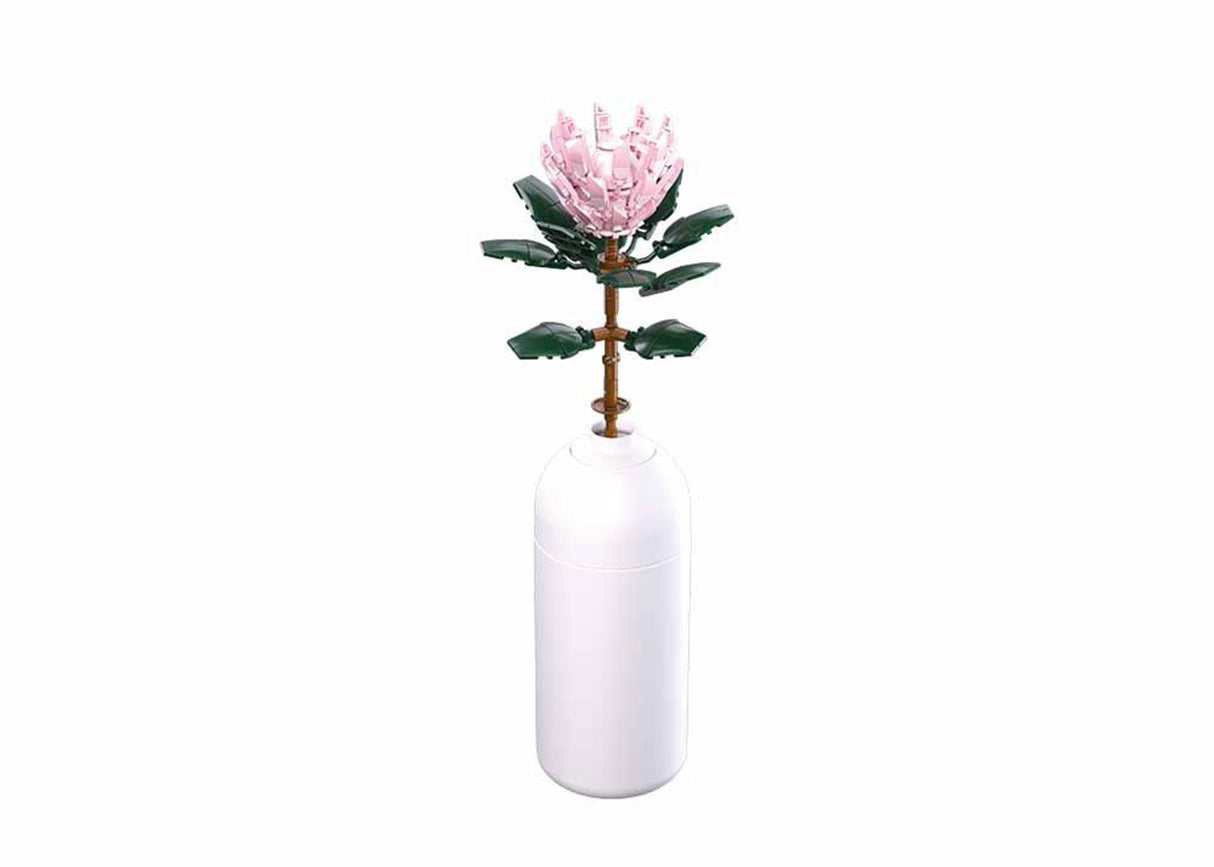 Sluban blomster kæmpe protea cynaroides 219 stk