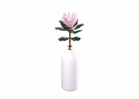 Sluban kæmpe protea (m38-b1101-03)