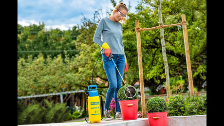 Gloria spraystang af messing inklusive specroid sprayhætte, inklusive buxus 270