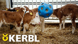 Produkter mad spille bold blå