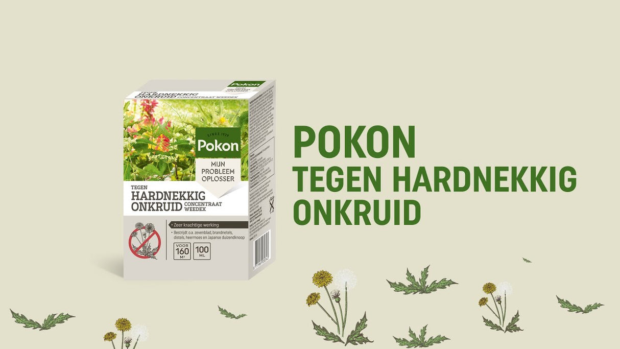 Pokon produkter mod genstridigt ukrudt koncentrat 100ml weedex