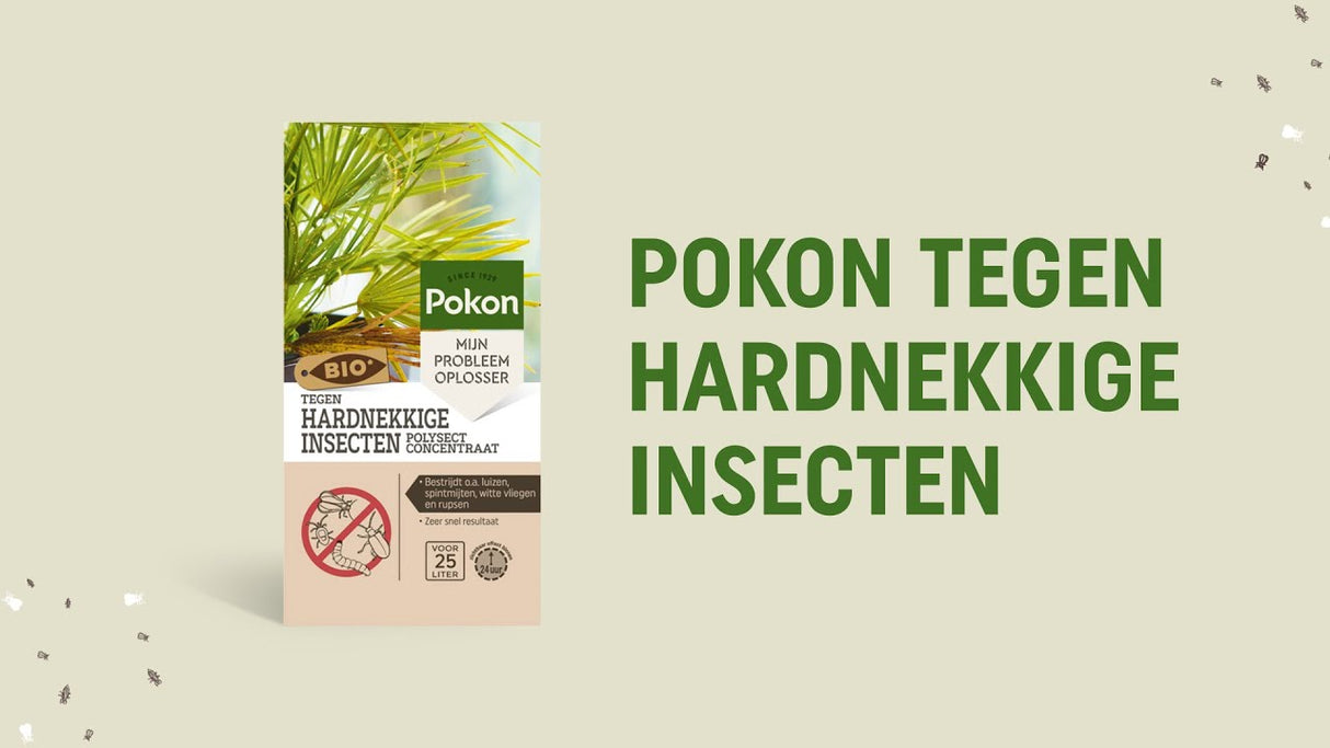 Pokon produkter bio mod vedvarende insekter koncentrat 175ml poly