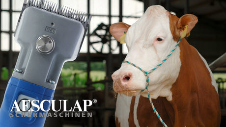 Aesculap econom produkter kvægklipper econom cordless plus2 batterier 1