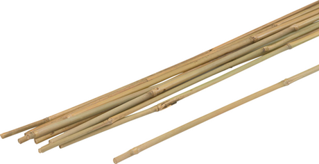 Meister plantepind bambus 75cm (10 stk) - wu9966390
