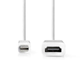 Display port