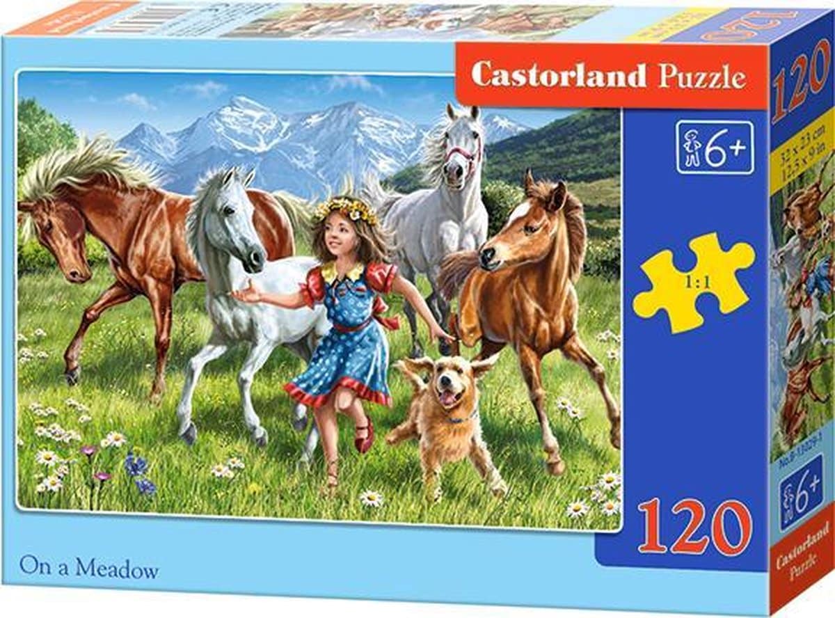 Castorland puslespil - pige og heste i bjergengen - 120 brikker