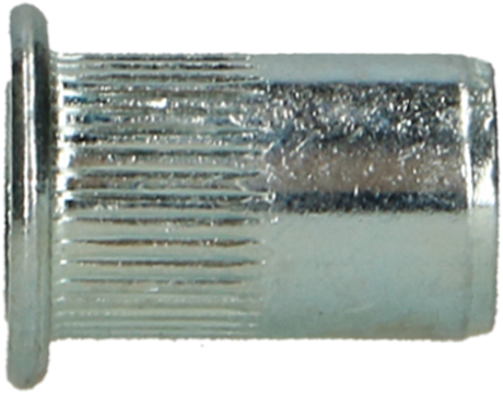 Pgb-europe pgb-fasteners | blindklinkmoer cilindr. kop m6x14,5 zn rivn12001006000143