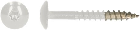 Pgb-europe pgb-fasteners | hpl schroef tx20 4,8x38 r9016 a4 - tresp0a00038090163